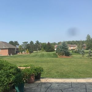 Meet your Posher, Shine thandasseril